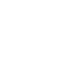 Turtons plus icon